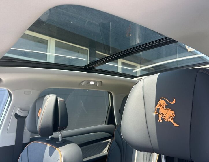 Dongfeng Ostatní 12