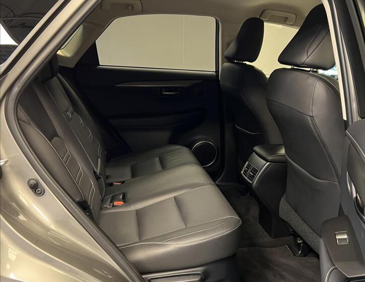 Lexus NX 300h 10