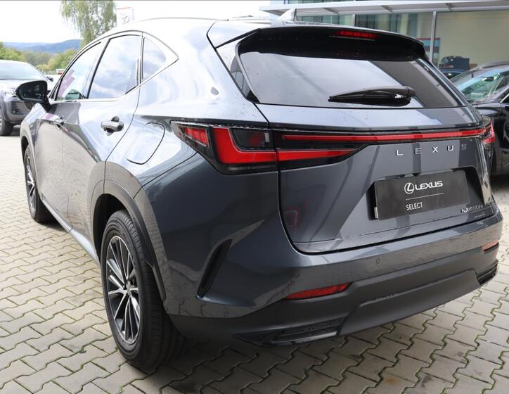 Lexus NX 450h+ 19