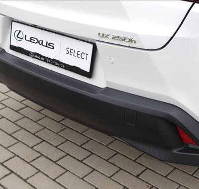 Lexus UX 250h 39