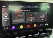 Cupra Formentor SUV / Terénní 1,5 l 110 kw