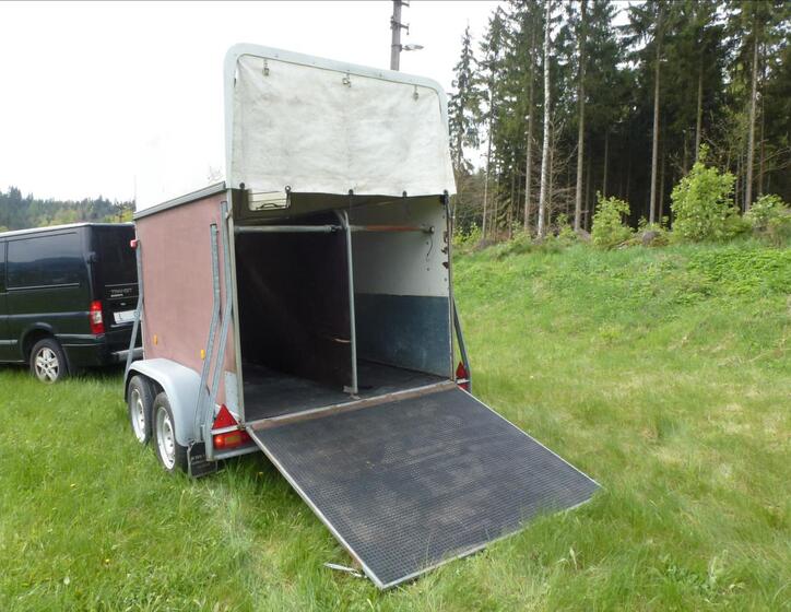 Ostatní Ostatní 11