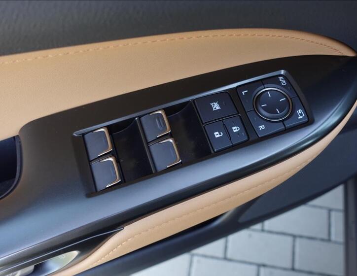 Lexus NX 450h plus 18