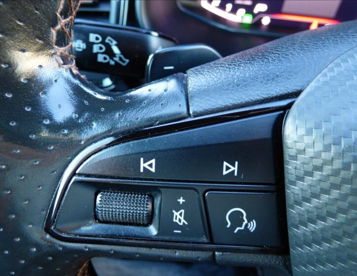 Cupra Ateca SUV / Terénní 2,0 l 221 kw