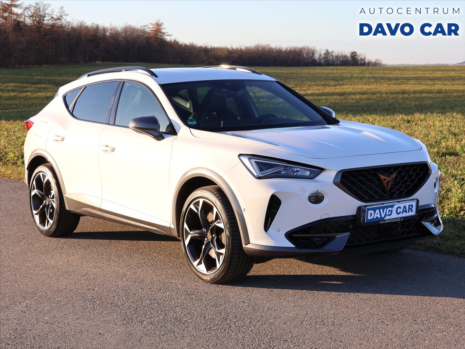 Cupra Formentor SUV / Terénní 2,0 l 228 kw