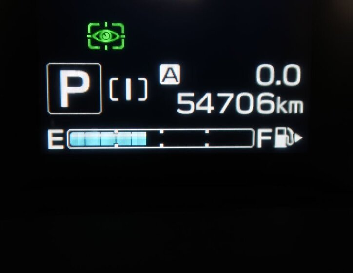 Subaru Forester SUV / Terénní 2,0 l 110 kw