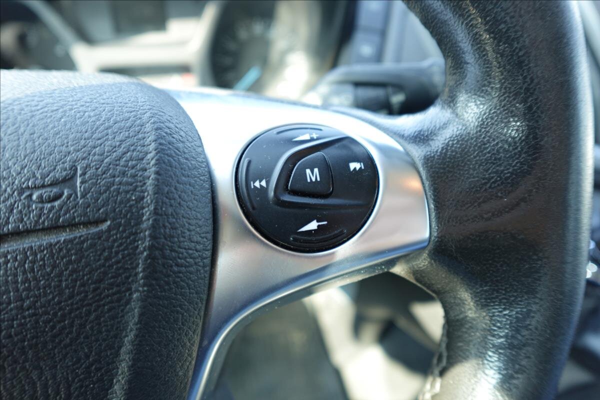 Ford Transit Ostatní 2,0 l 96 kw