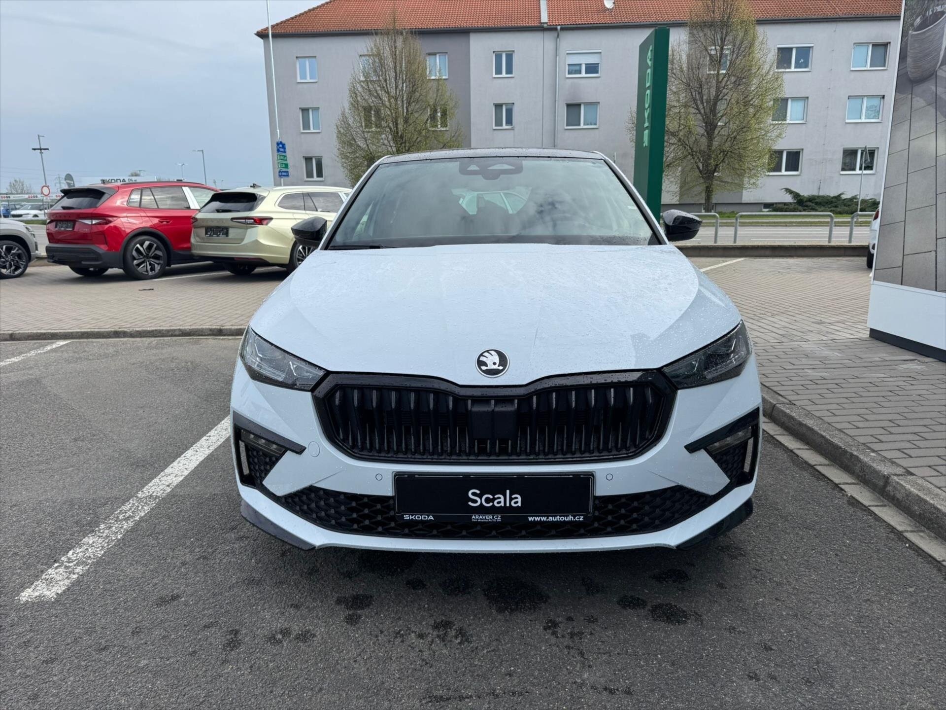 Škoda Scala Hatchback 999,0 85 kw