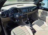 Volkswagen Beetle 21
