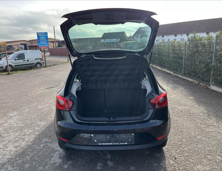 Seat Ibiza 31