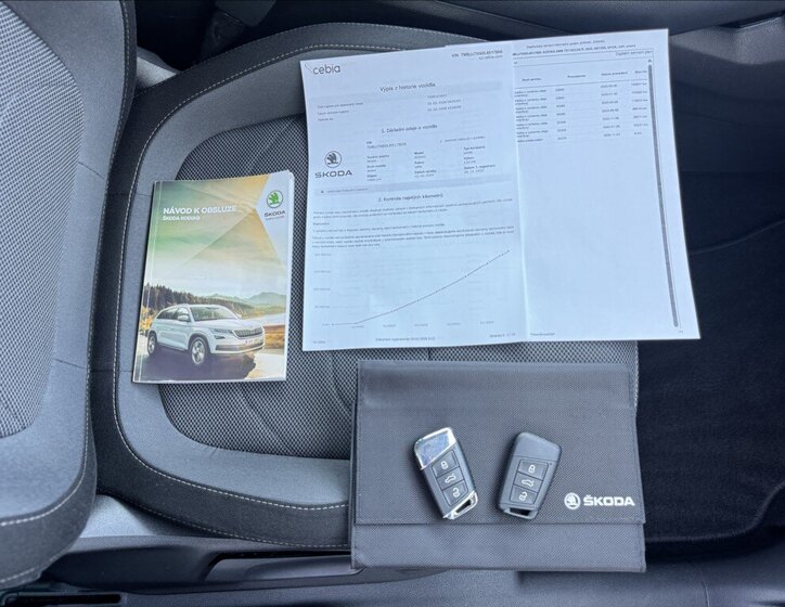 Škoda Kodiaq Kombi 2,0 l 110 kw