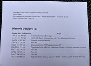 Citroën Berlingo Pick-up 1,5 l 56 kw