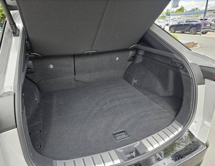 Lexus RZ 450e Kombi 0,0 301 kw