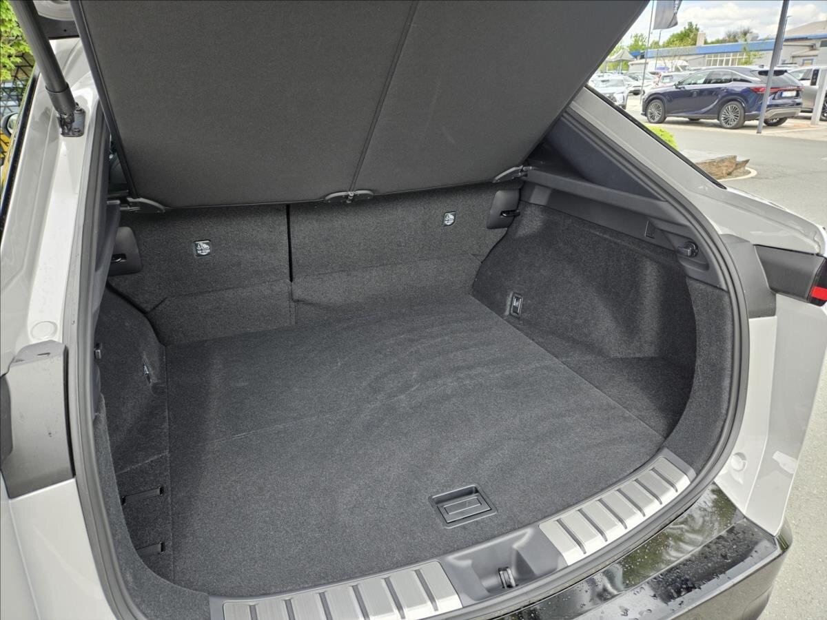 Lexus RZ 450e Kombi 0,0 301 kw