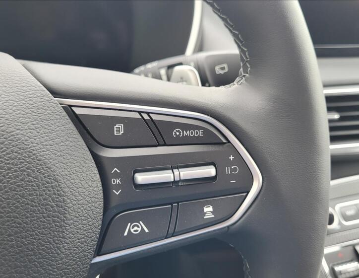 Hyundai Santa Fe SUV 1,6 l 195 kw