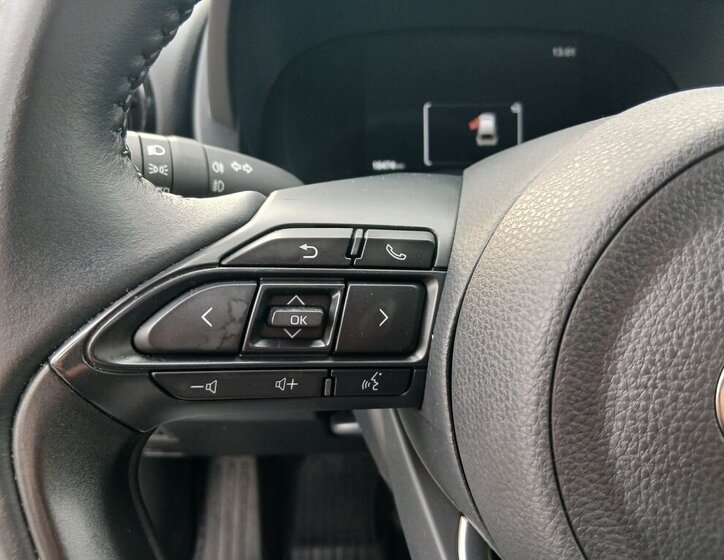 Toyota Yaris Cross 19