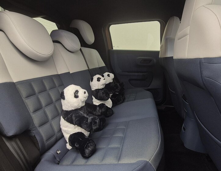 Fiat Grande Panda Hatchback 0,0 83 kw