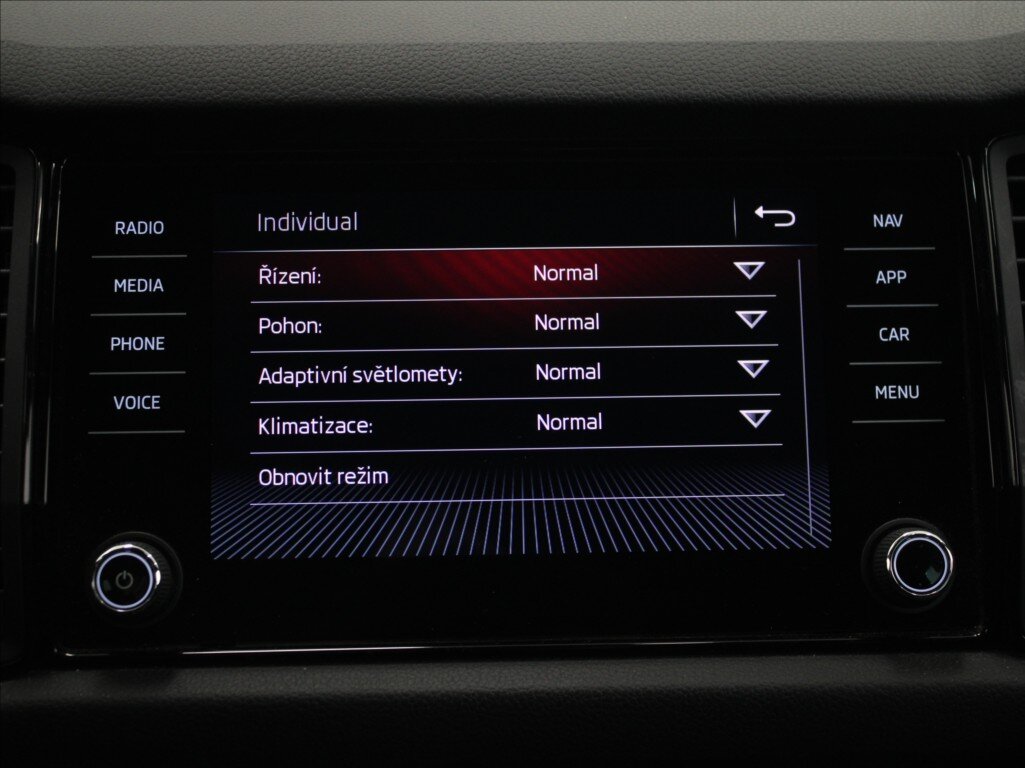 Škoda Kodiaq SUV / Terénní 1,5 l 110 kw