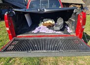 Ford F-150 Pick-up 0,0 220 kw