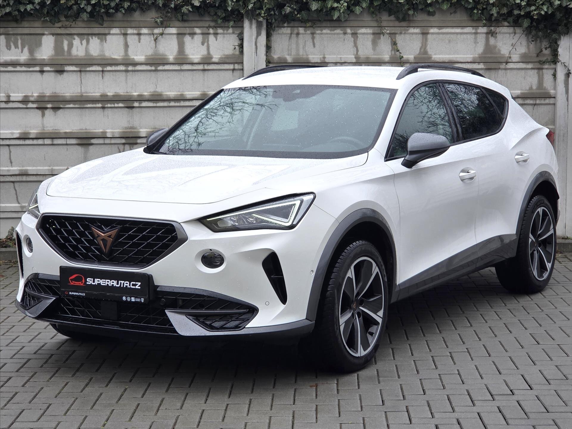 Cupra Formentor SUV / Terénní 2,0 l 110 kw