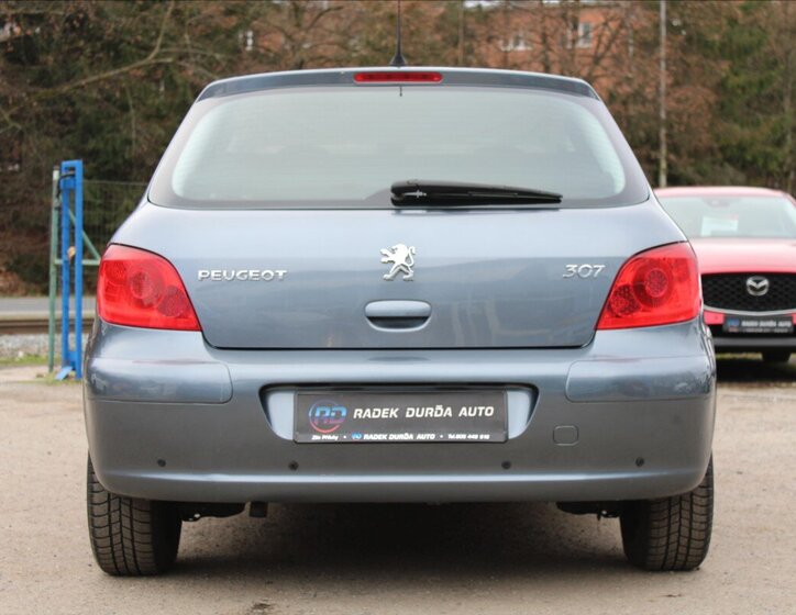 Peugeot 307 6