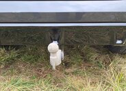 BMW X6 Sedan 0,0 210 kw