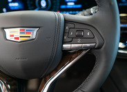 Cadillac Escalade 23