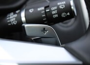 Land Rover Discovery 31