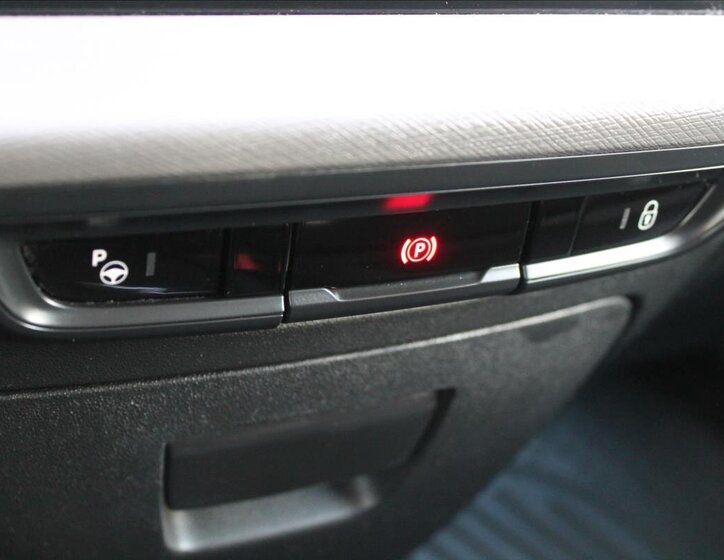 Citroën C4 Picasso MPV 2,0 l 110 kw