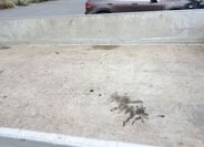 Volkswagen Crafter 17