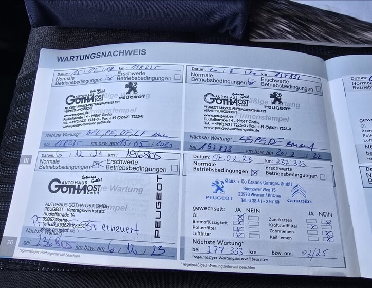 Peugeot Traveller 31