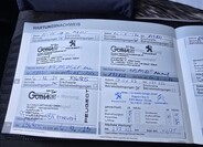 Peugeot Traveller 31