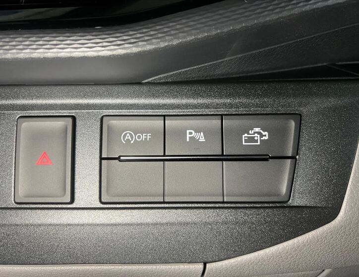 Volkswagen California 24