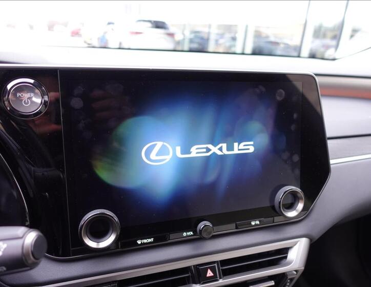 Lexus RX 450h plus 21