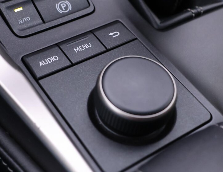 Lexus NX 300h SUV 2,5 l 114 kw