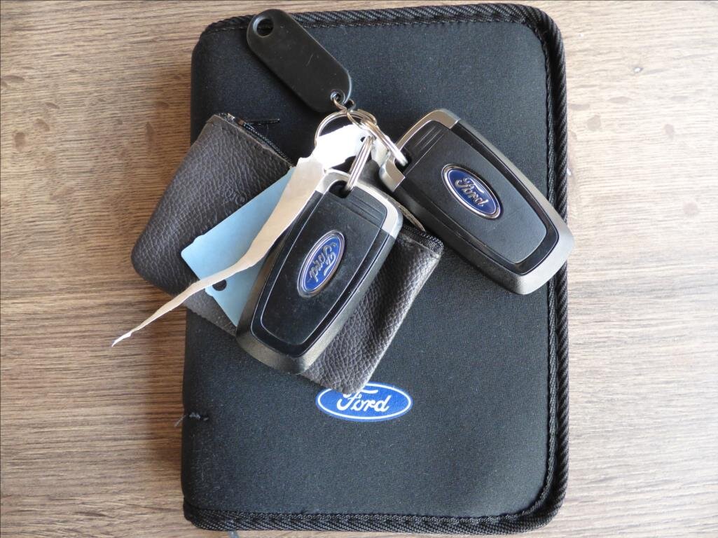 Ford S-MAX MPV 2,0 l 110 kw