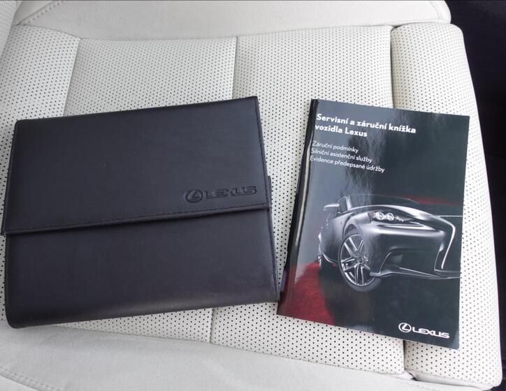 Lexus RX 450h plus 49