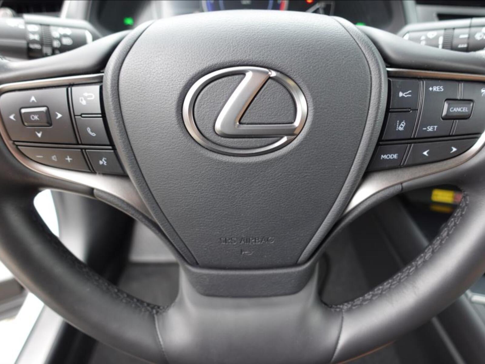 Lexus UX 250h 32
