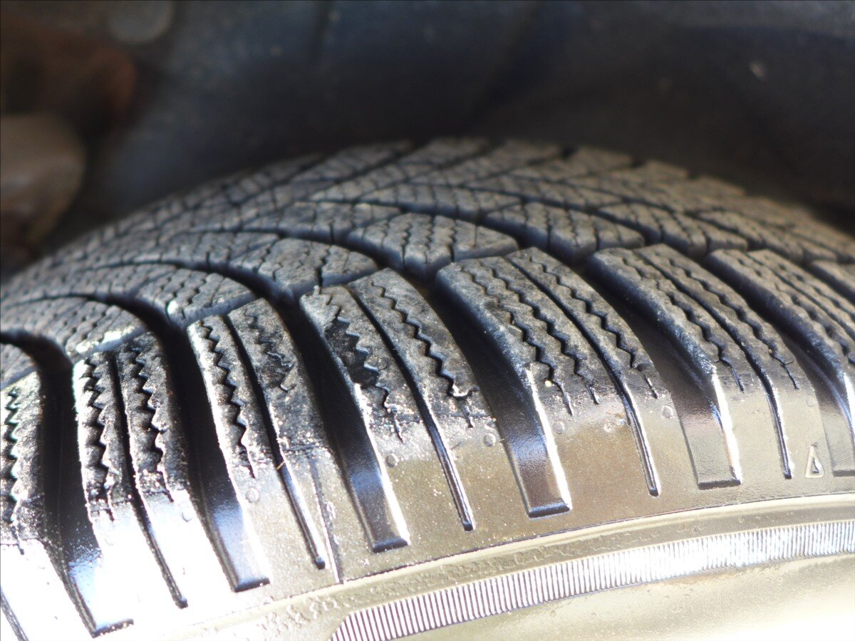 Renault Scénic Kombi 1,9 l 96 kw