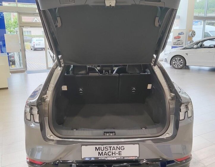 Ford Mustang Mach-E SUV / Terénní 0,0 198 kw