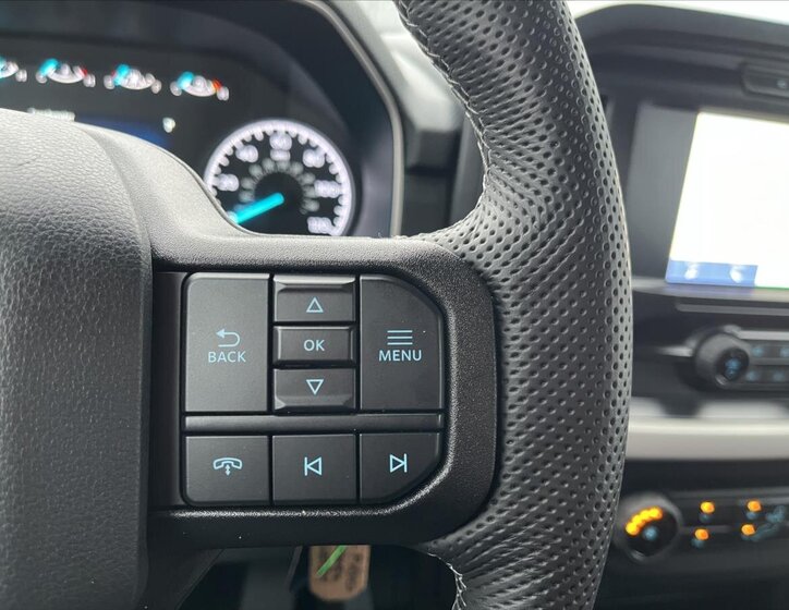 Ford F-150 Pick-up 5,0 l 298 kw