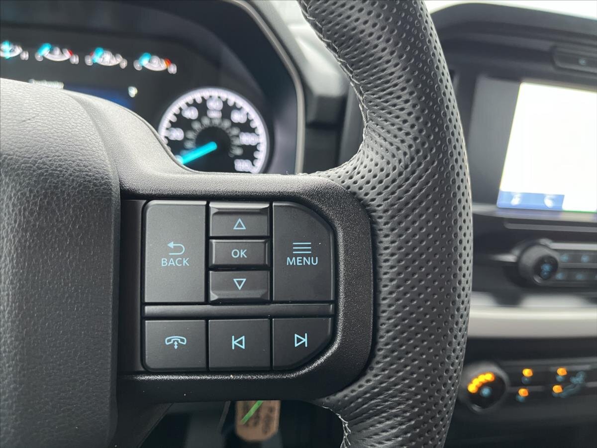 Ford F-150 Pick-up 5,0 l 298 kw