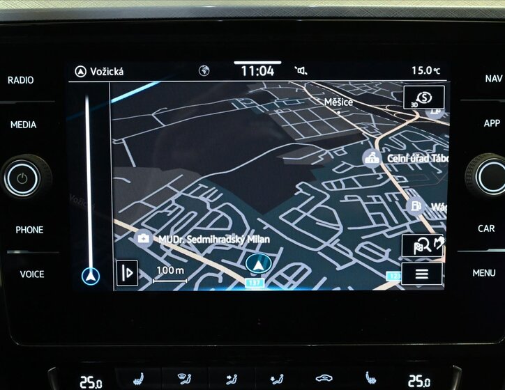 Volkswagen Passat 19