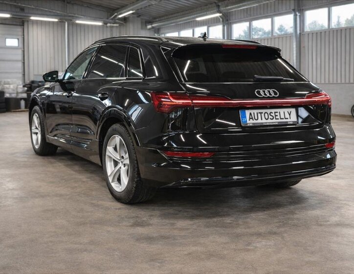 Audi e-tron Kombi 0,0 230 kw