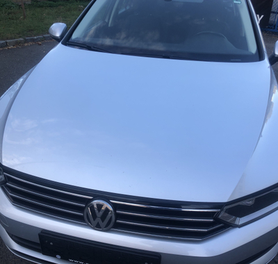 Volkswagen Passat 12