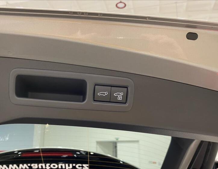 Lexus RX 450h plus 20