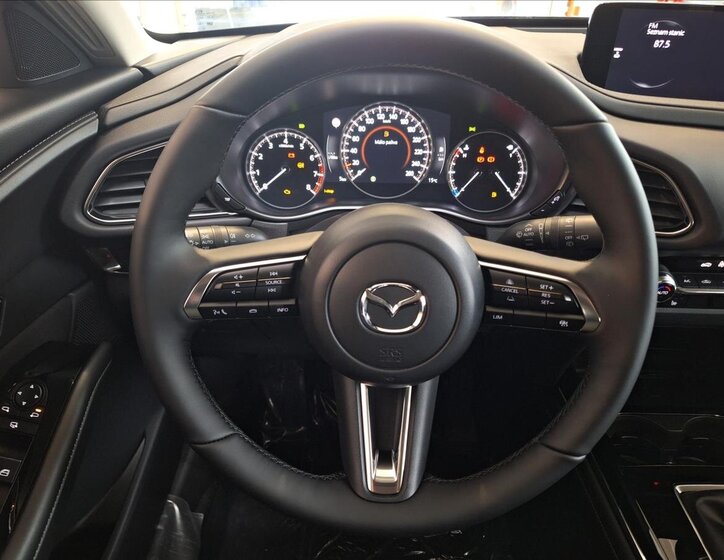 Mazda CX-30 SUV 2,5 l 103 kw