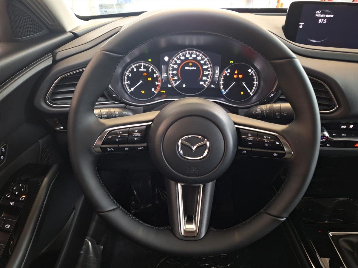 Mazda CX-30 SUV 2,5 l 103 kw