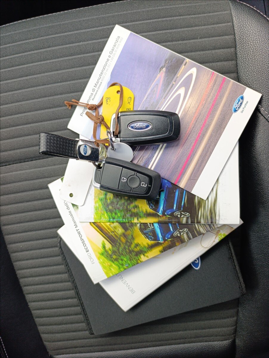 Ford EcoSport SUV / Terénní 998,0 92 kw