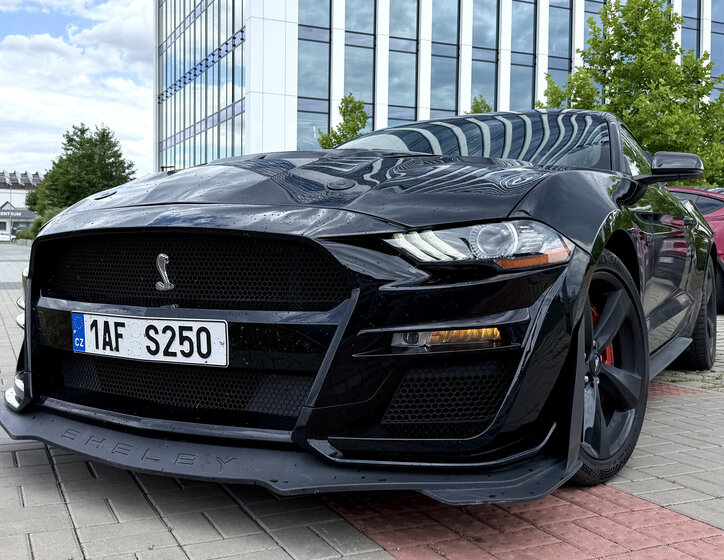 Ford Mustang Kupé 5,0 l 310 kw